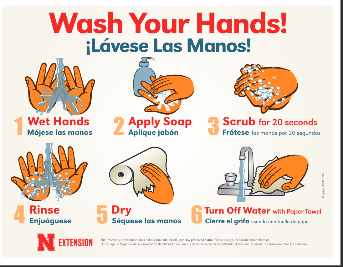 wash your hands 