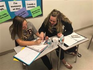 Two students working on a project together 