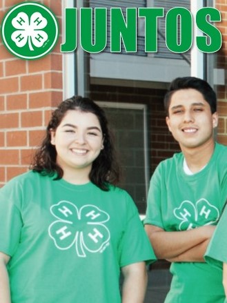  ¿Qué es Juntos 4-H?