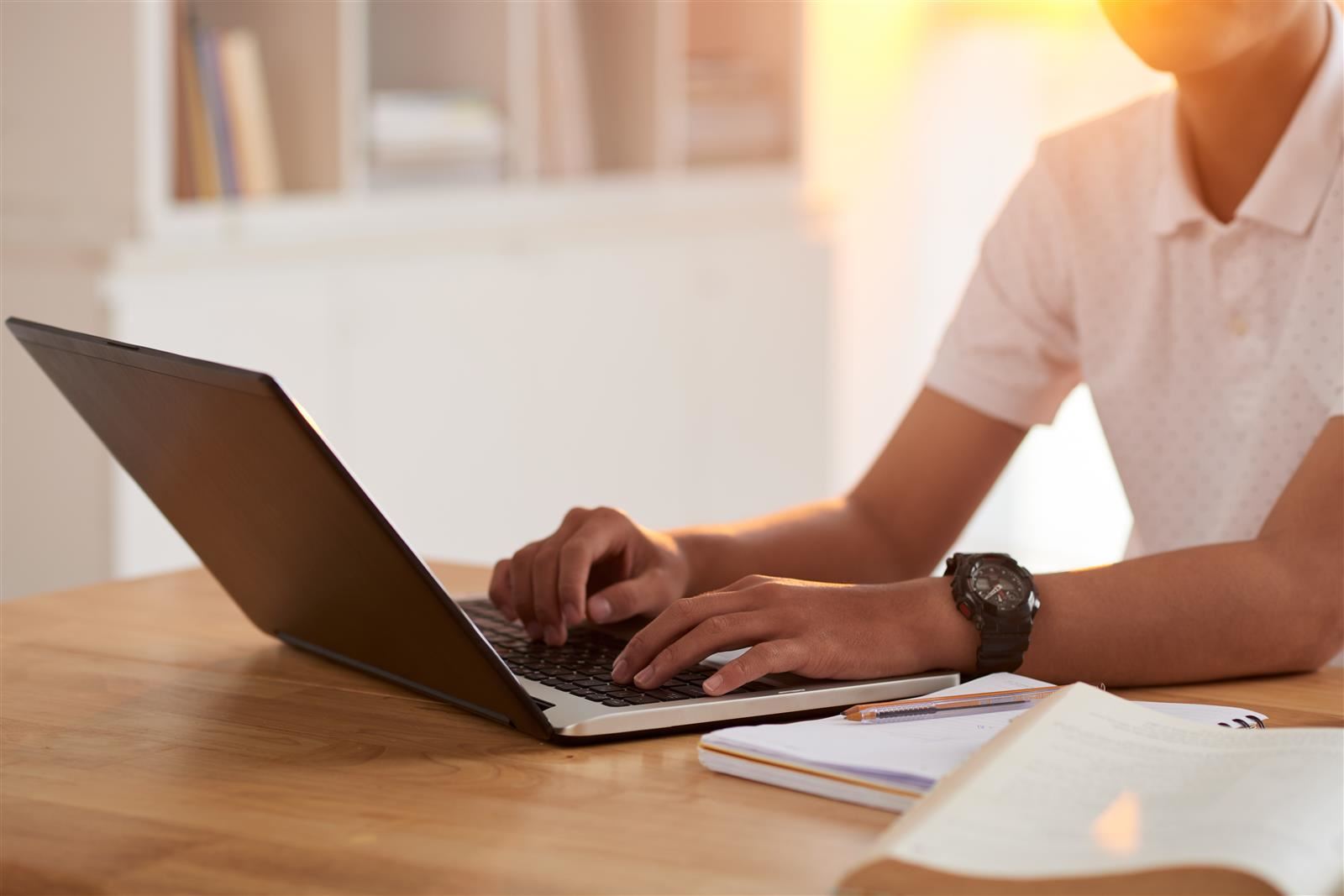 Picture of student typing at a computer