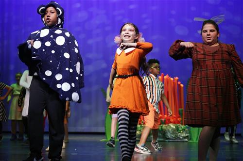 Nemo Performance