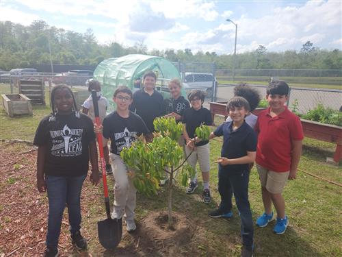 Honor Society Students planting tree