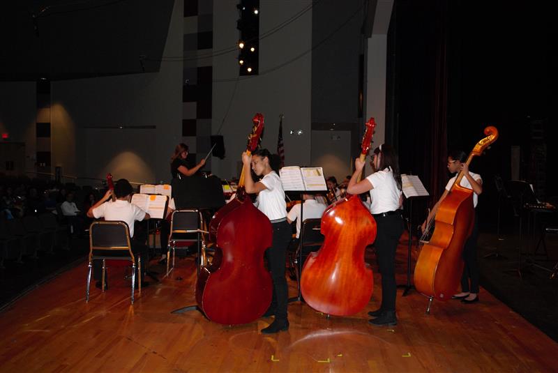 Orchestra